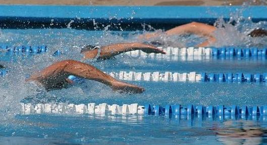 Schwimmen Titelbild